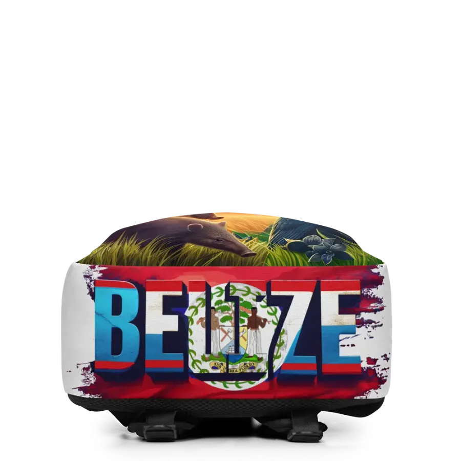 Beauty of Belize Backpack product image (3)