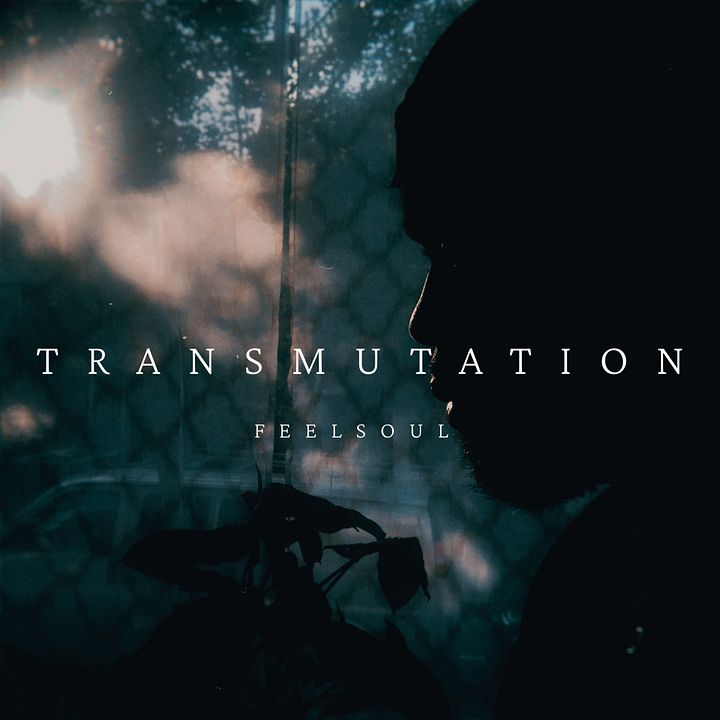 TRANSMUTATION ALBUM product image (1)