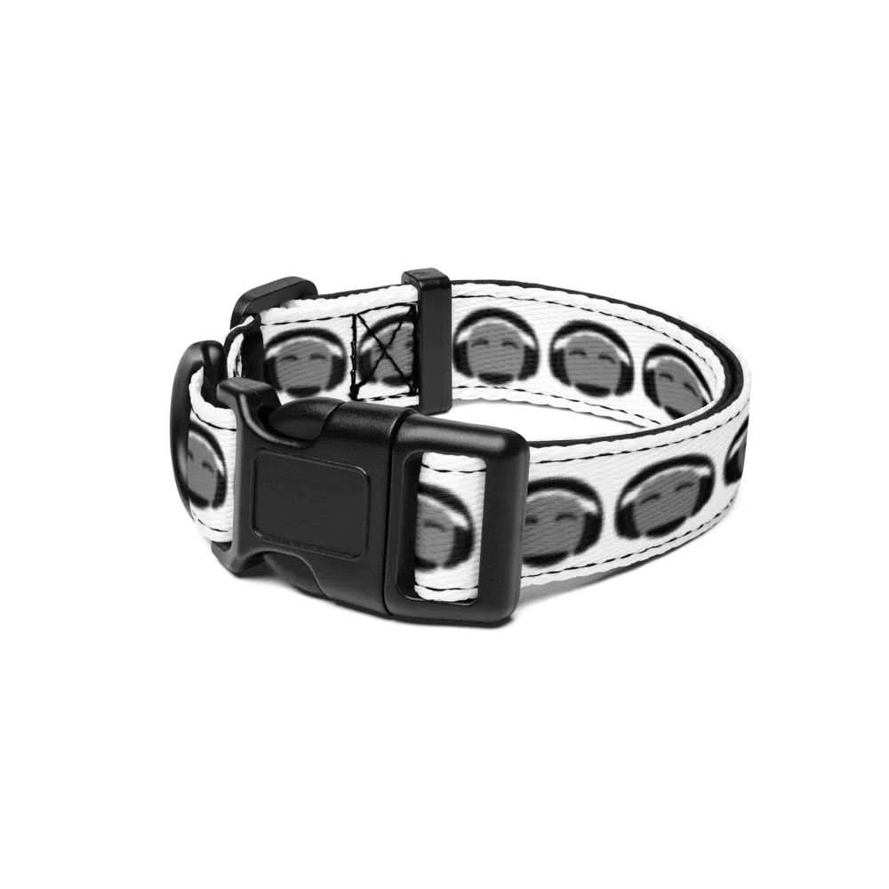Pet Collar product image (1)