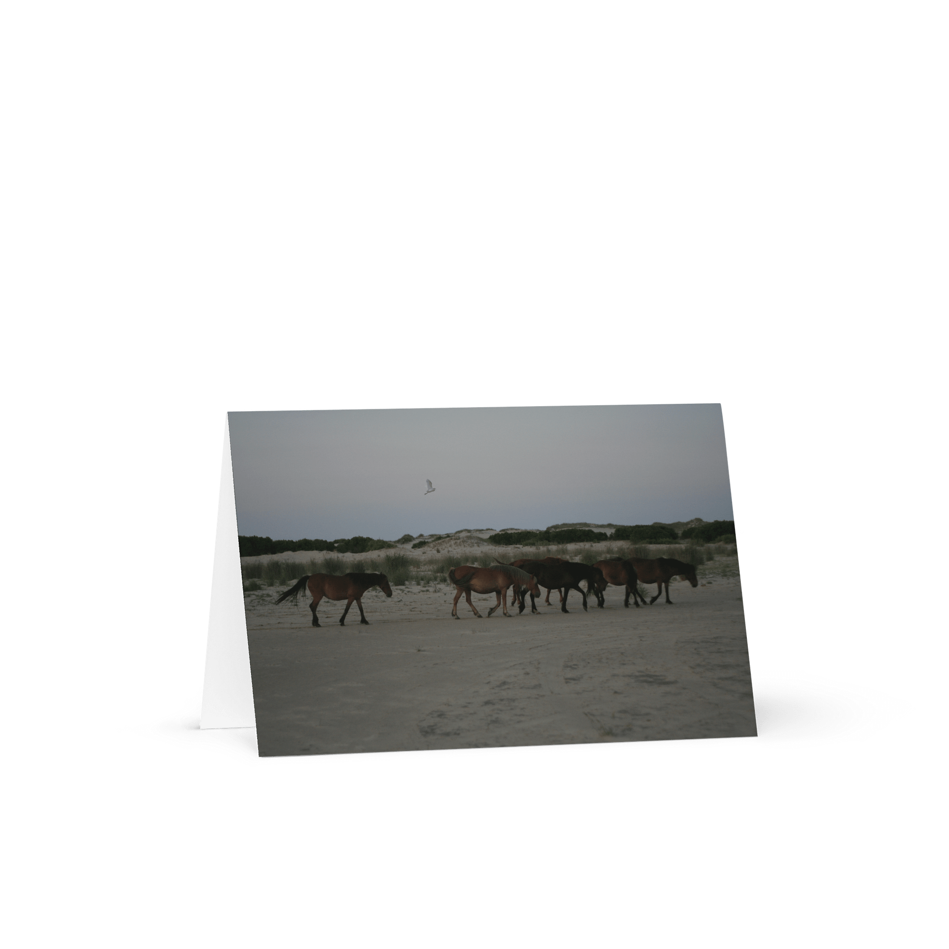 Seaside Serenity Greeting Card product image (1)