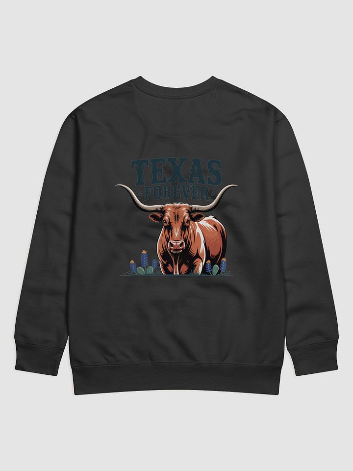 Rustic Texas Forever Premium Sweatshirt product image (13)