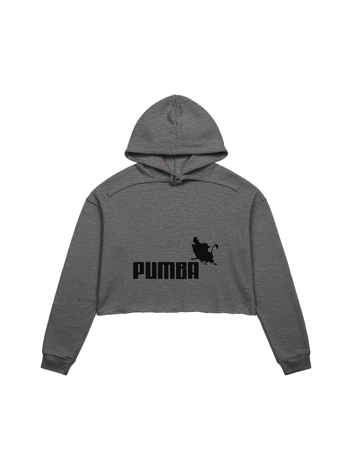 Pumba Crop Hoodie product image (1)