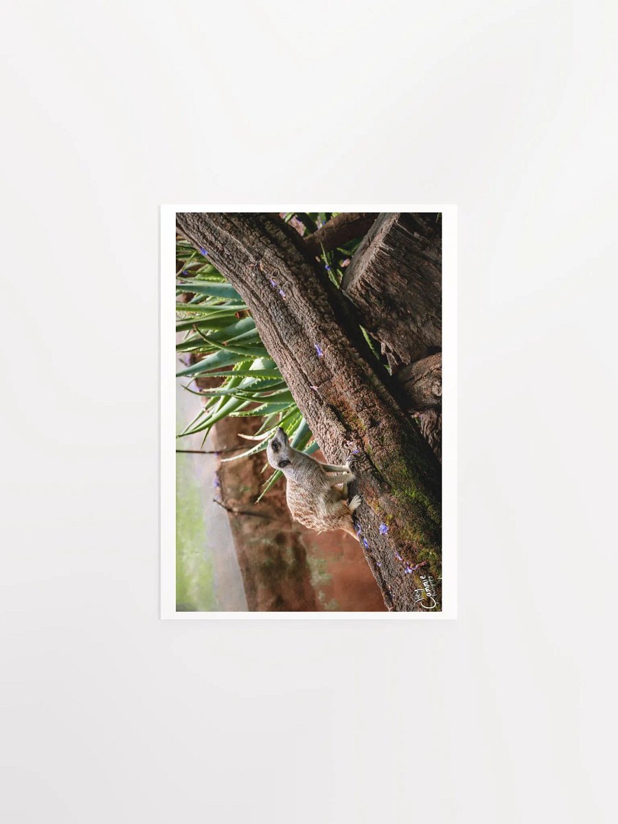 Meerkat Watch - Print product image (1)