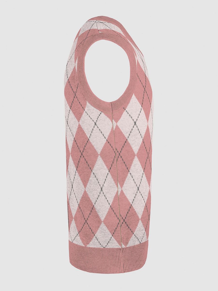 Argyle Paws Knitted V-Neck Vest product image (5)
