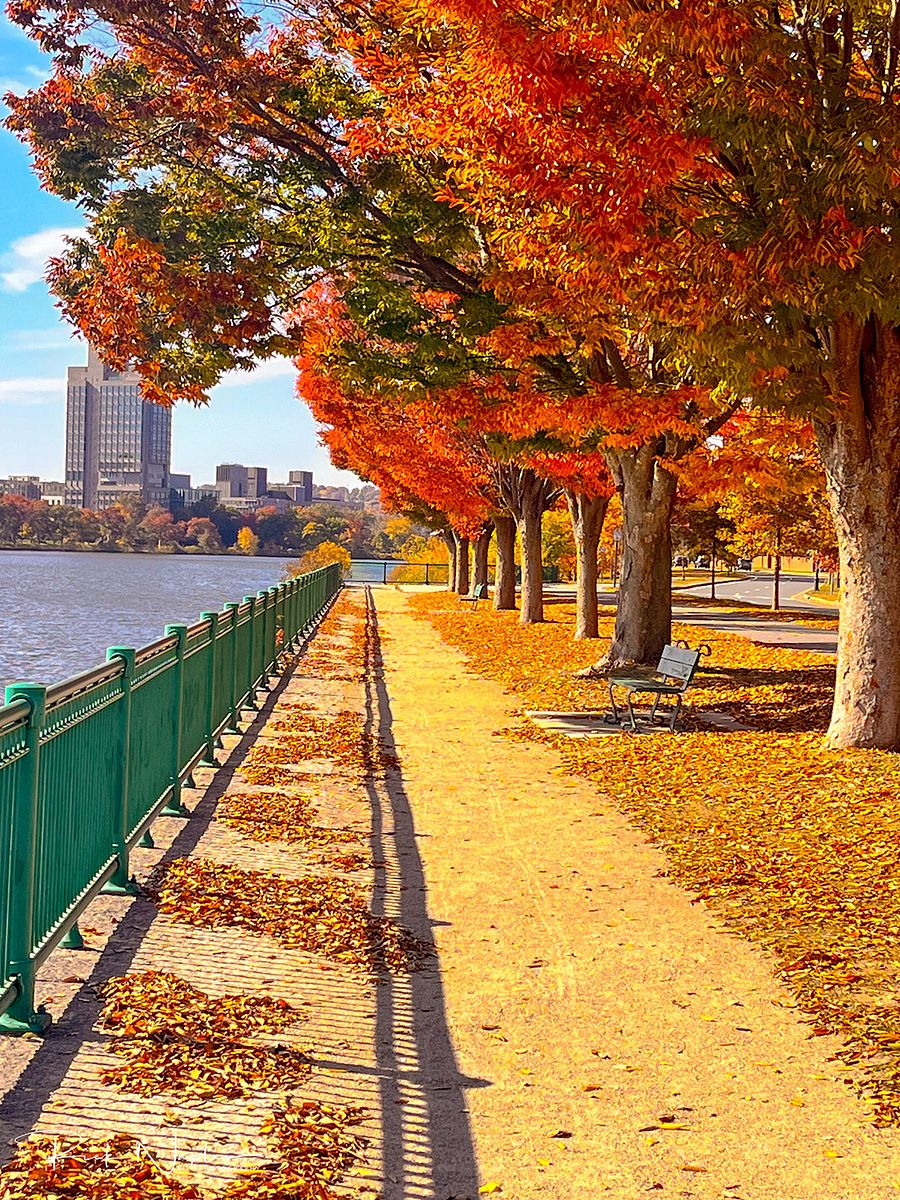 LANDSCAPE PHOTOGRAPHY product image (10)