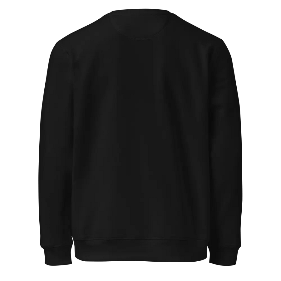 Kid Airplane (Stanley/Stella Unisex Organic Sweatshirt) product image (8)
