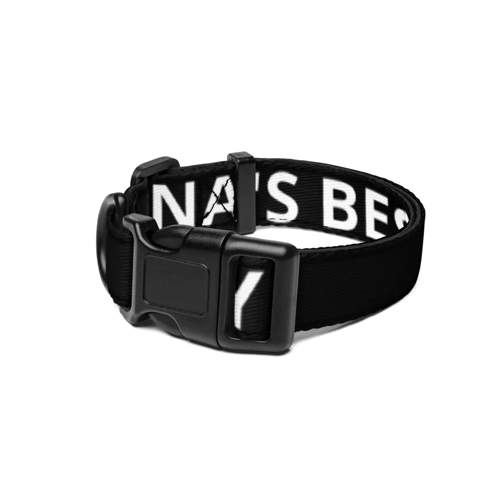 Xena's Best Boy Collar product image (1)