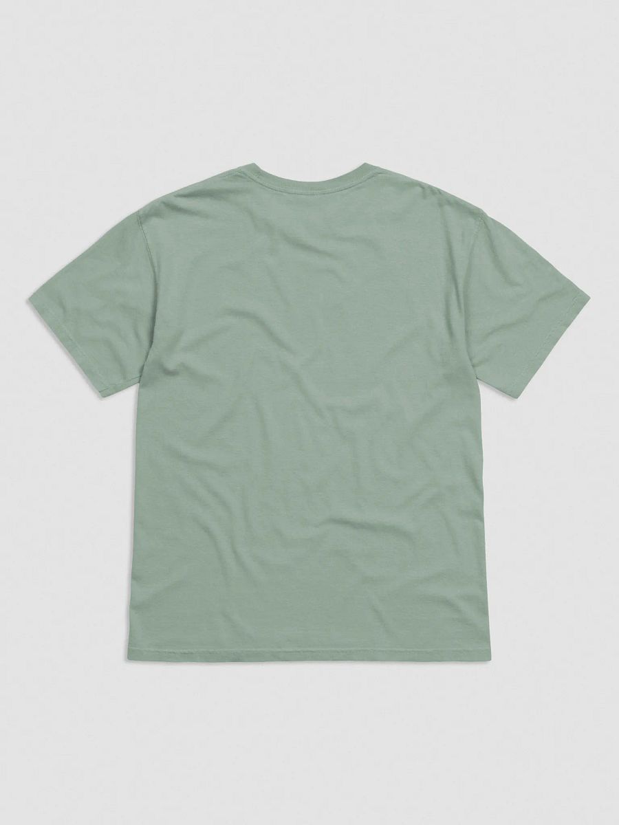 Embroidered T-Shirt - To Recharge, Leave Alone - Black product image (14)