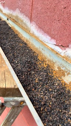 🦇 Bat Guano is an EXCELLENT addition to any compost system. We help the bats by giving them a structure to live in, and they ...