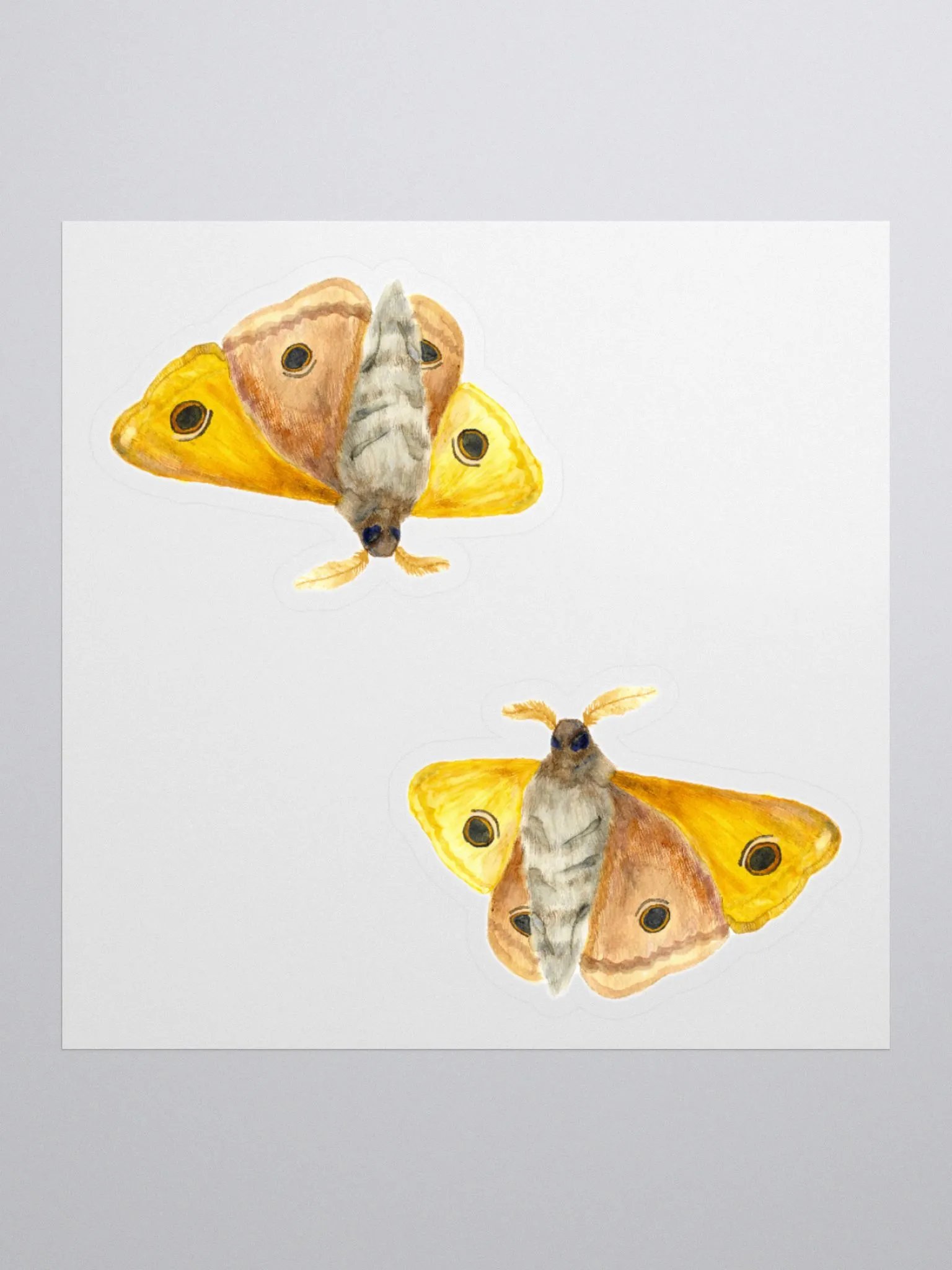 Small Emperor Moth Sticker (x2) product image (1)