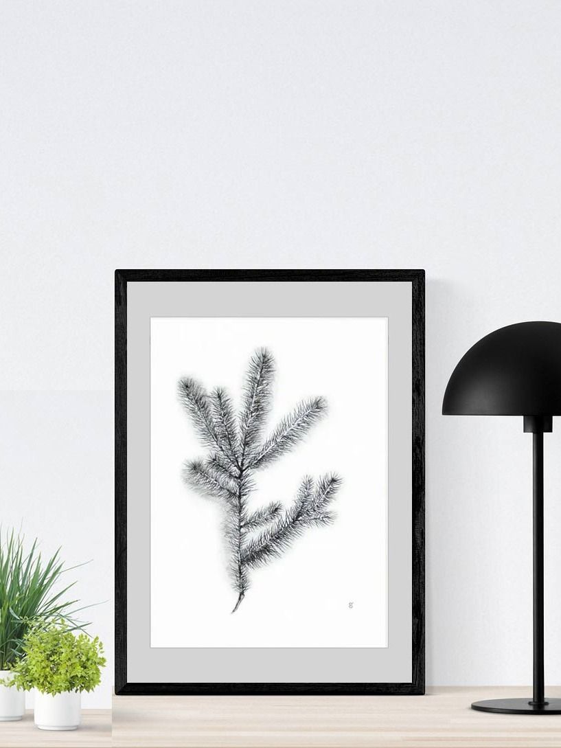 Whimsical Coniferous Branch Poster - Spruce Branch product image (10)