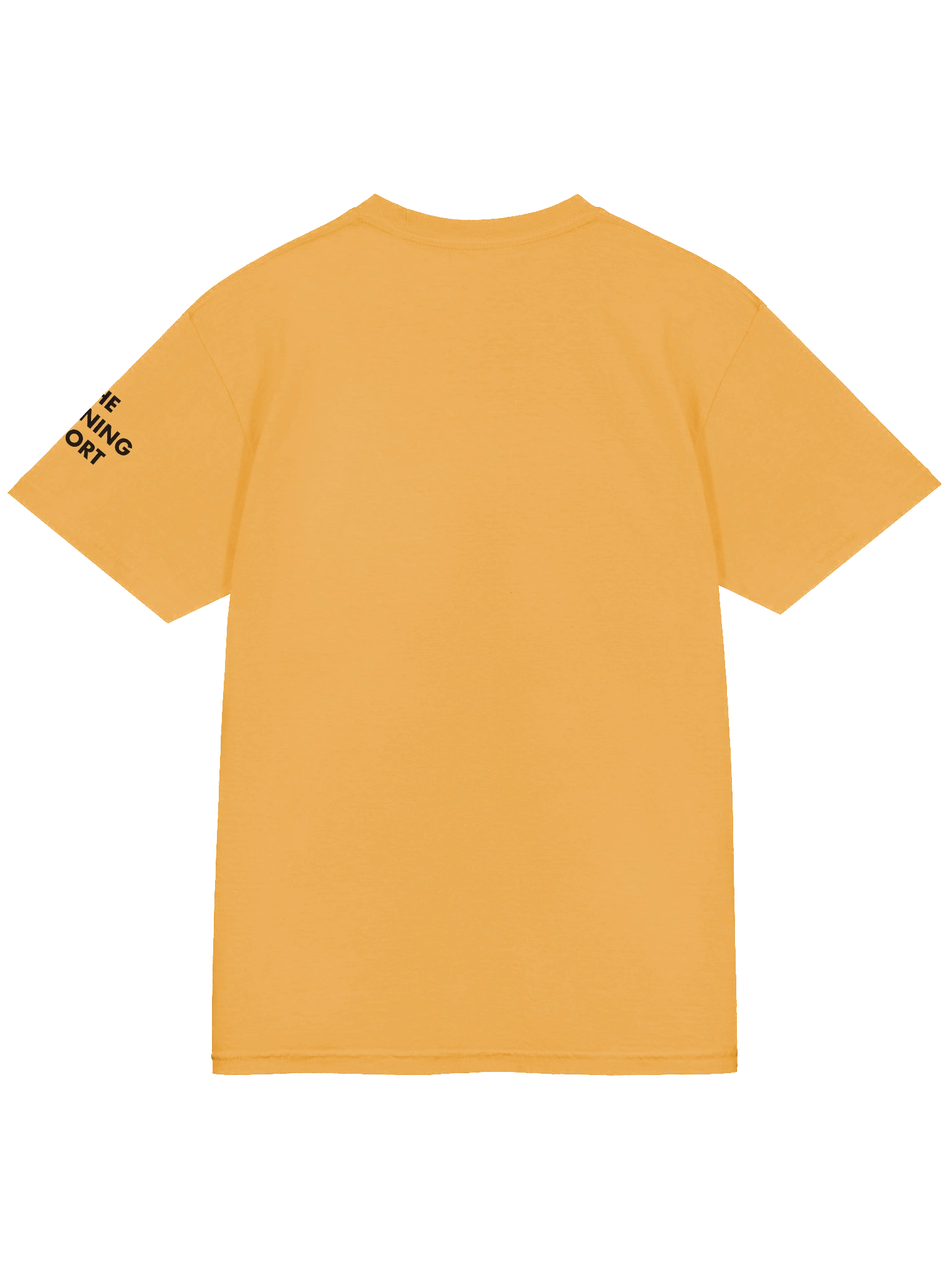 Aloha Duck DC Flag product image (94)