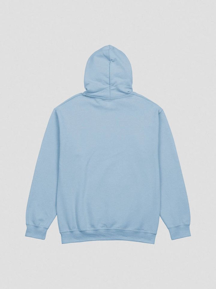 Lost Cat Small Front Logo Hoodie product image (10)
