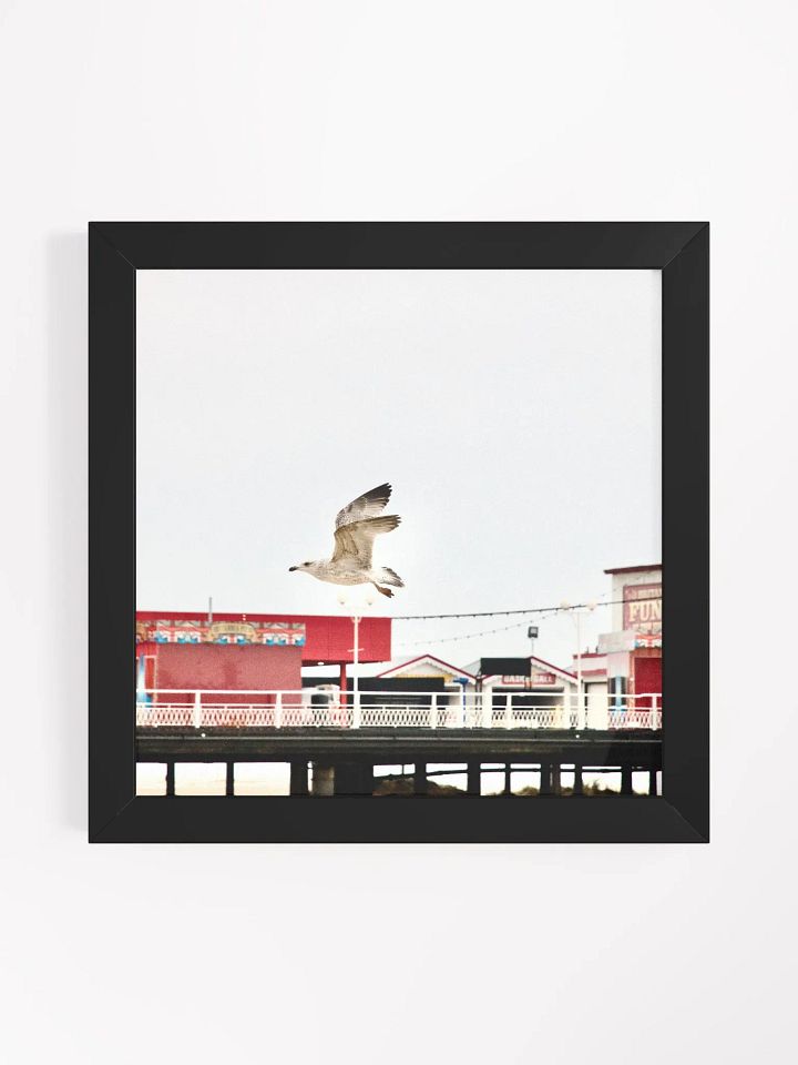 Young Gull Flying over a Fun Fair Framed Print product image (4)