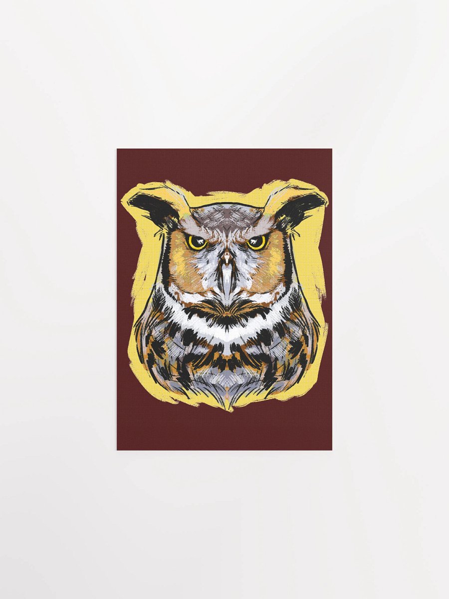 Barn Owl product image (3)