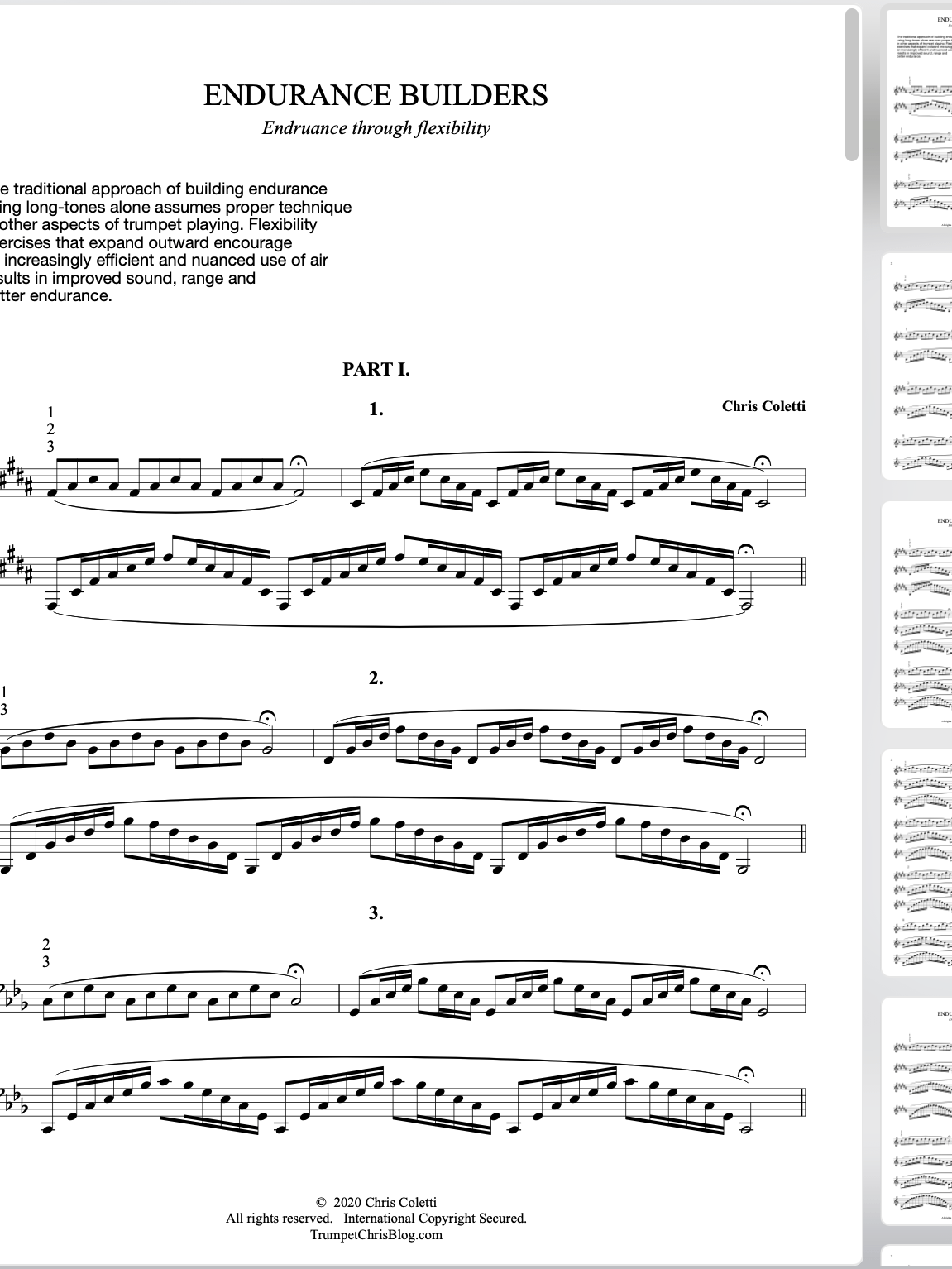 Endurance Builders - PARTS 1, 2 + 3 (8 pages) product image (1)