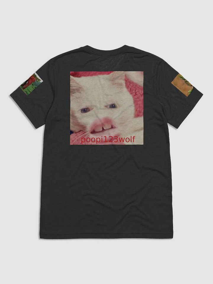 meme t shirt product image (2)