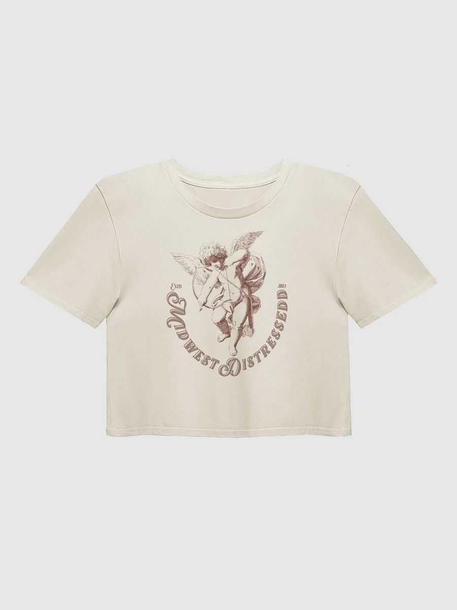 MidwestDistressedd Crop Tee product image (17)