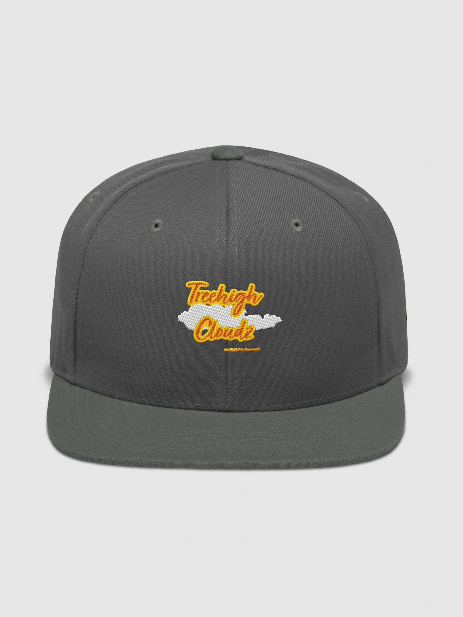 Turn2Culture Snapback Cap product image (4)