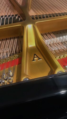 Let the piano speak. 🎹✨ #steinway
