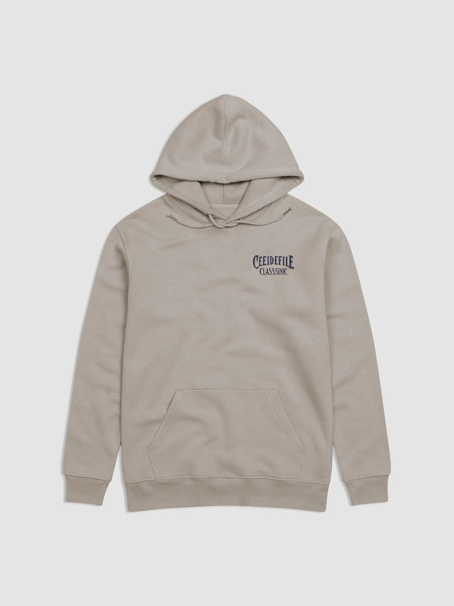 Eco Streetwear Organic Hoodie product image (4)