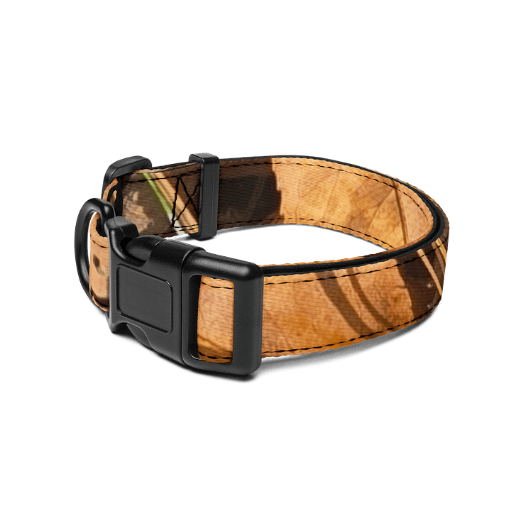 Forest Harmony Pet Collar product image (2)