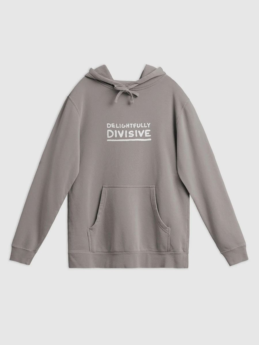 DELIGHTFULLY DIVISIVE (large white design) printed pigment hoodie product image (7)