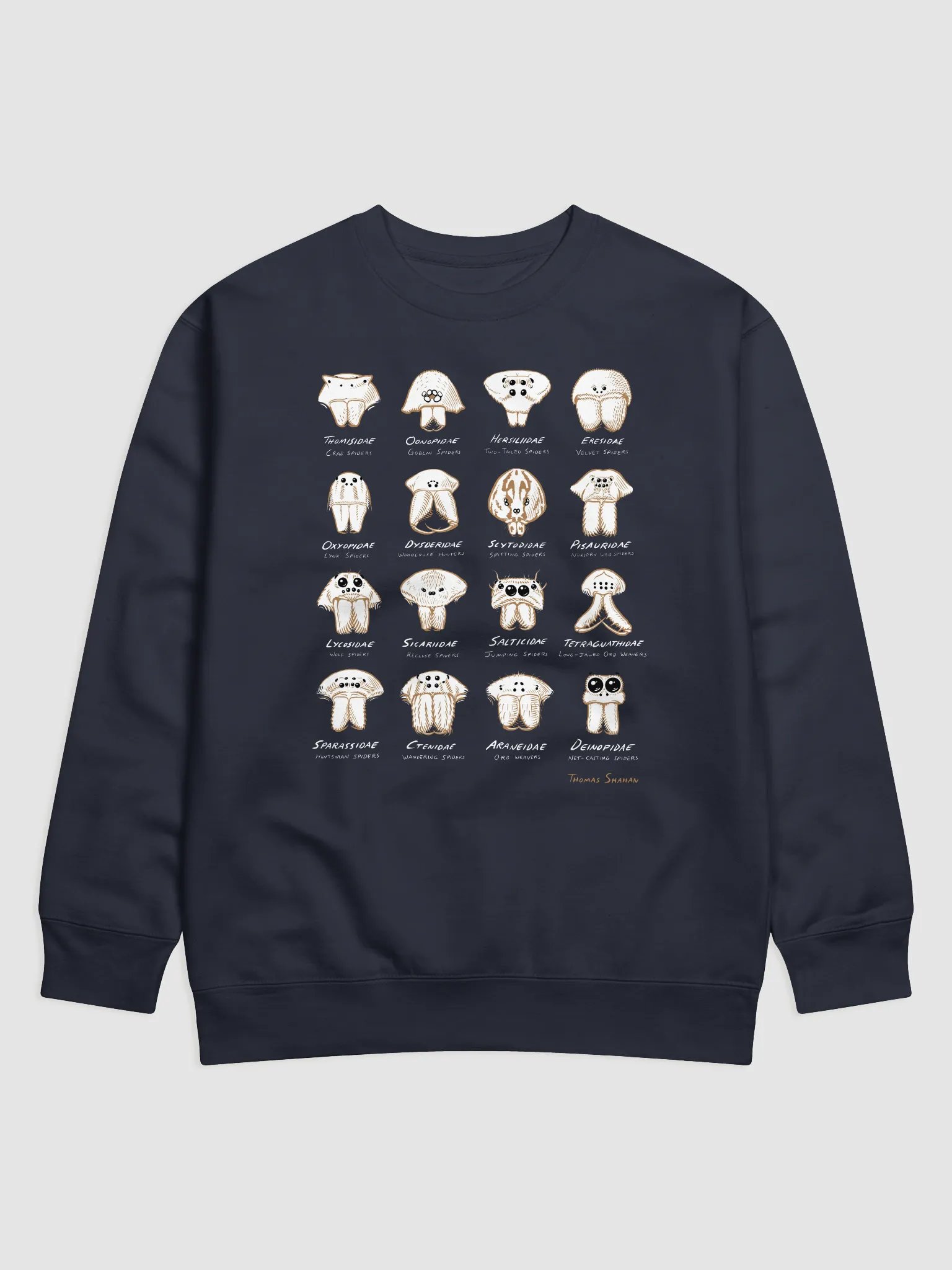 Spider Families Eye Arrangements Sweatshirt product image (3)