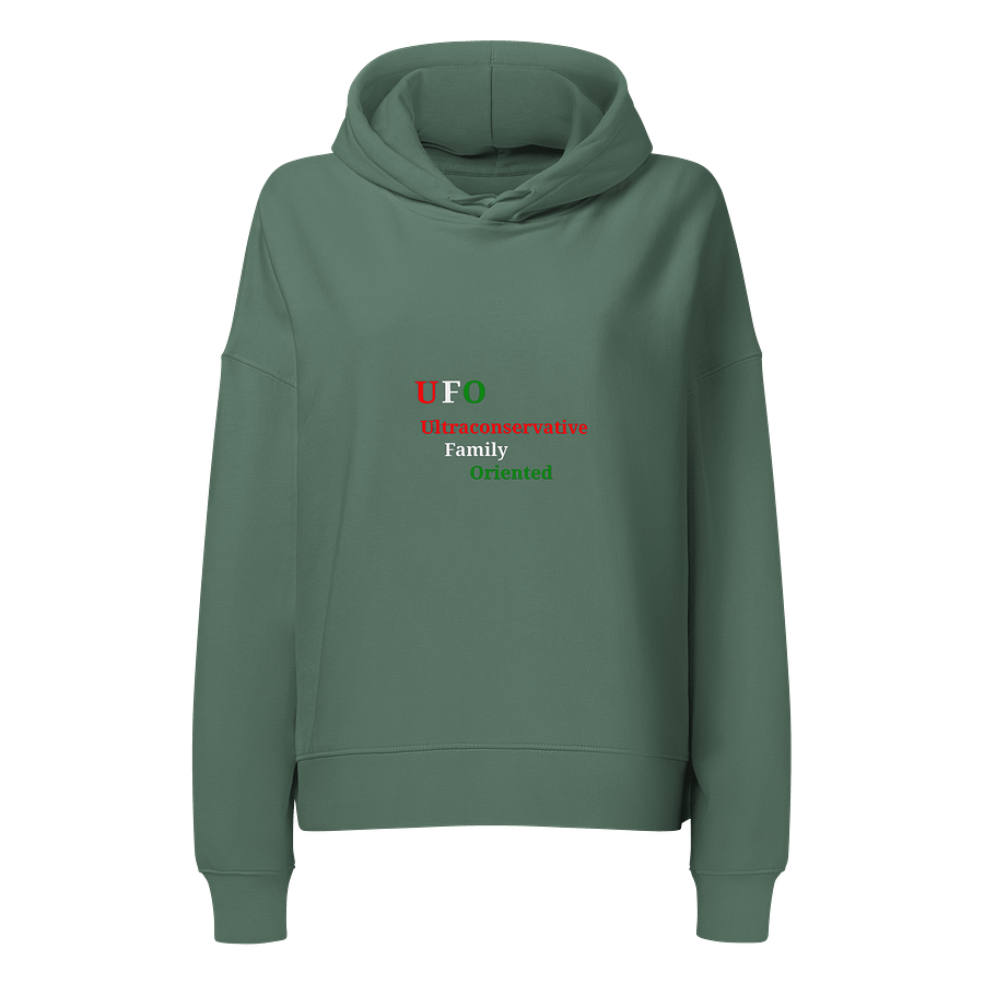 UFO Ultraconservative Family Oriented Hoodie product image (1)