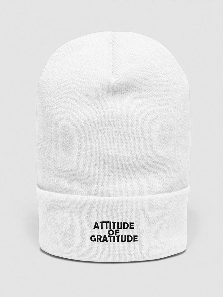 Attitude of Gratitude. product image (1)