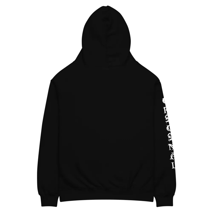 Swayle's Hoodie Black Version product image (6)