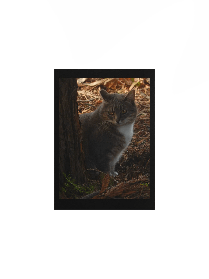 Forest Kitty product image (1)