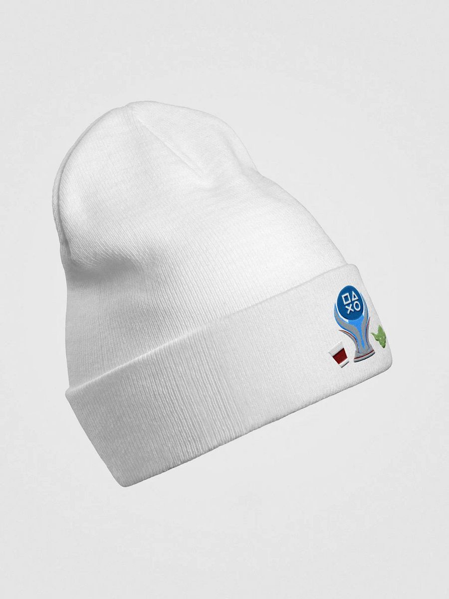 Bonnet Platine - Force Cafe product image (11)