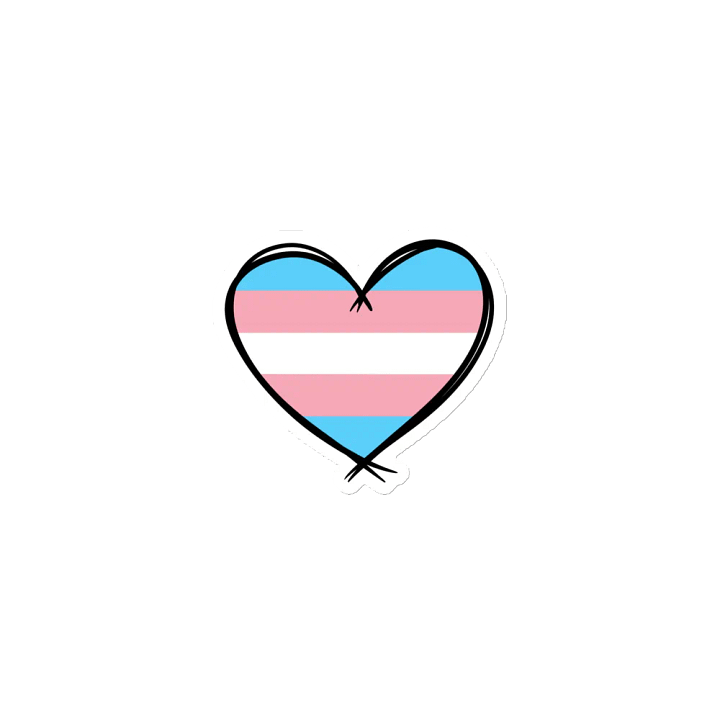 Transsexual Pride Magnet product image (1)