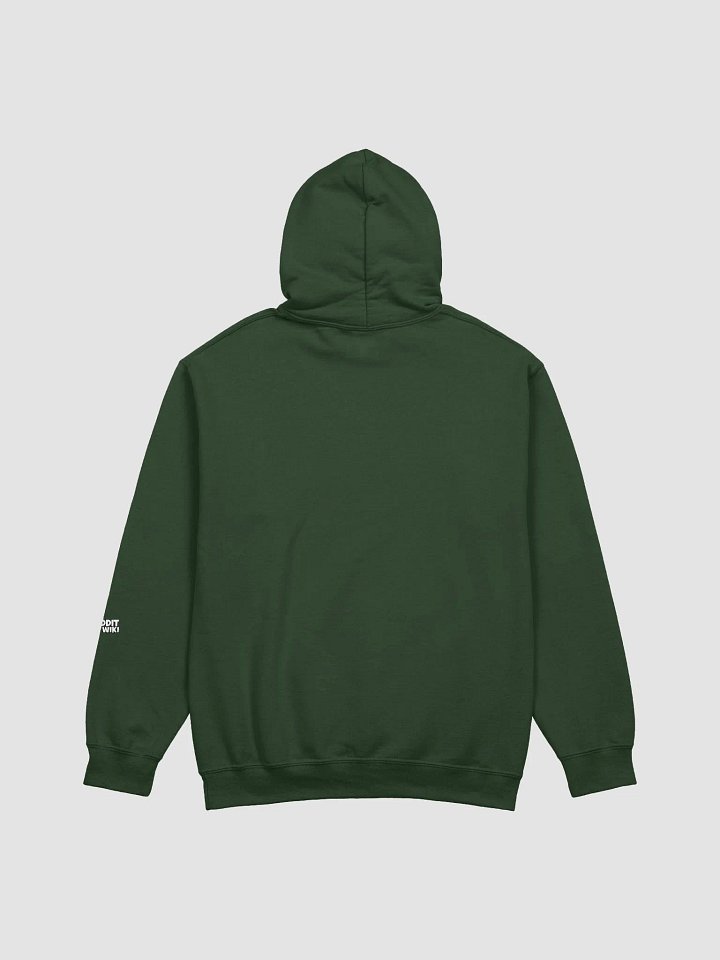 Decorum - Hoodie product image (32)