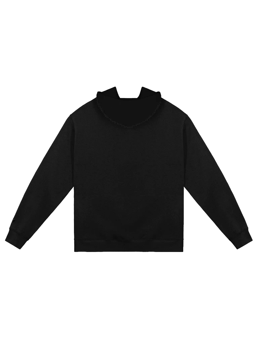 CSG Heavyweight Oversized Hoodie (Unisex) product image (2)