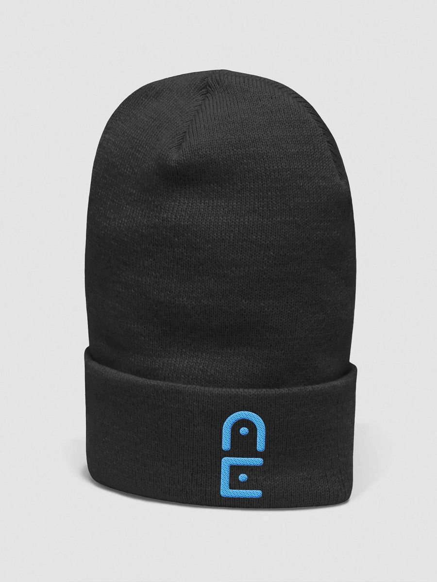 A.E. Logo Beanie product image (3)