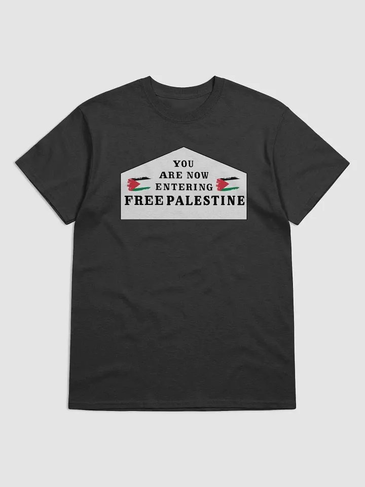 You Are Now Entering Free Palestine Classic T-Shirt [Fundraiser] product image (1)