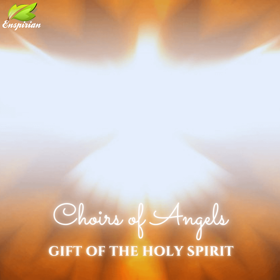 GIFT OF THE HOLY SPIRIT product image (1)