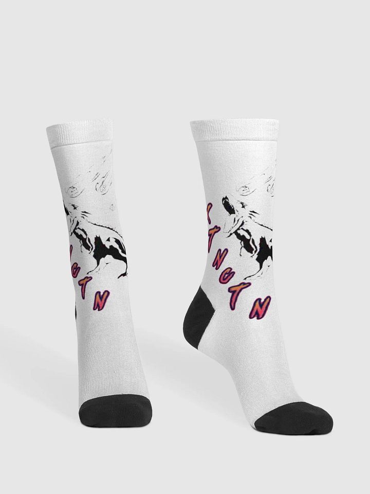 pj xtnctn socks product image (1)