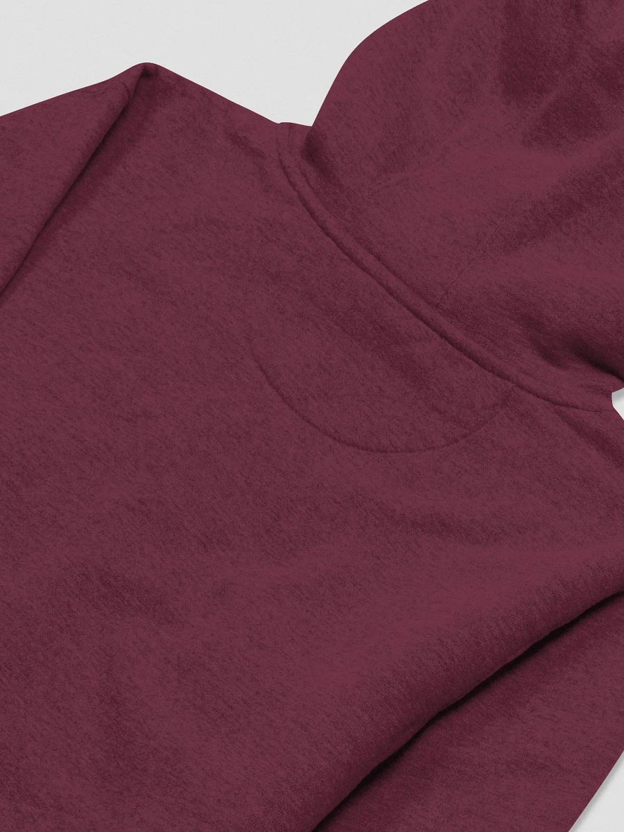 Fancy College Hoodie (Premium) product image (4)