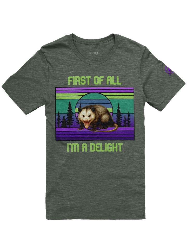 PASP Possum “I’m A Delight” Tee – Signature Colors product image (1)