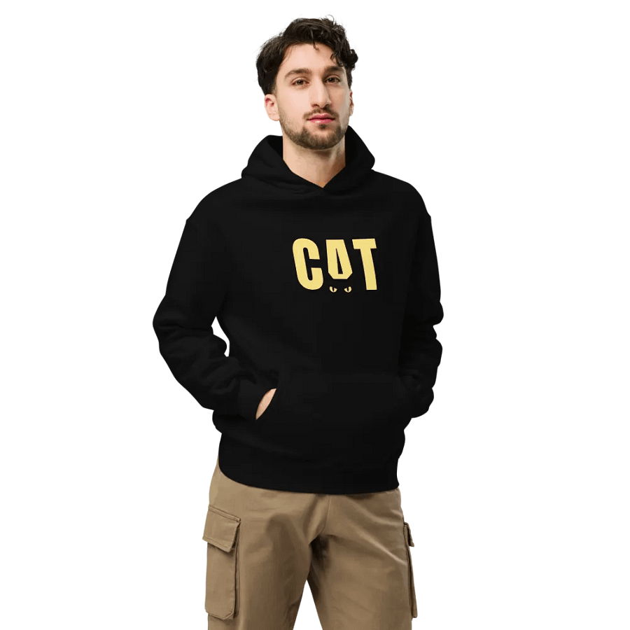 Peekaboo cat Hoddie product image (7)