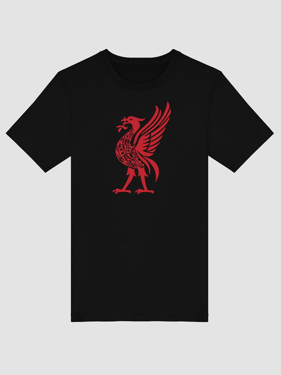 Liverpool YNWA T-Shirt product image (4)