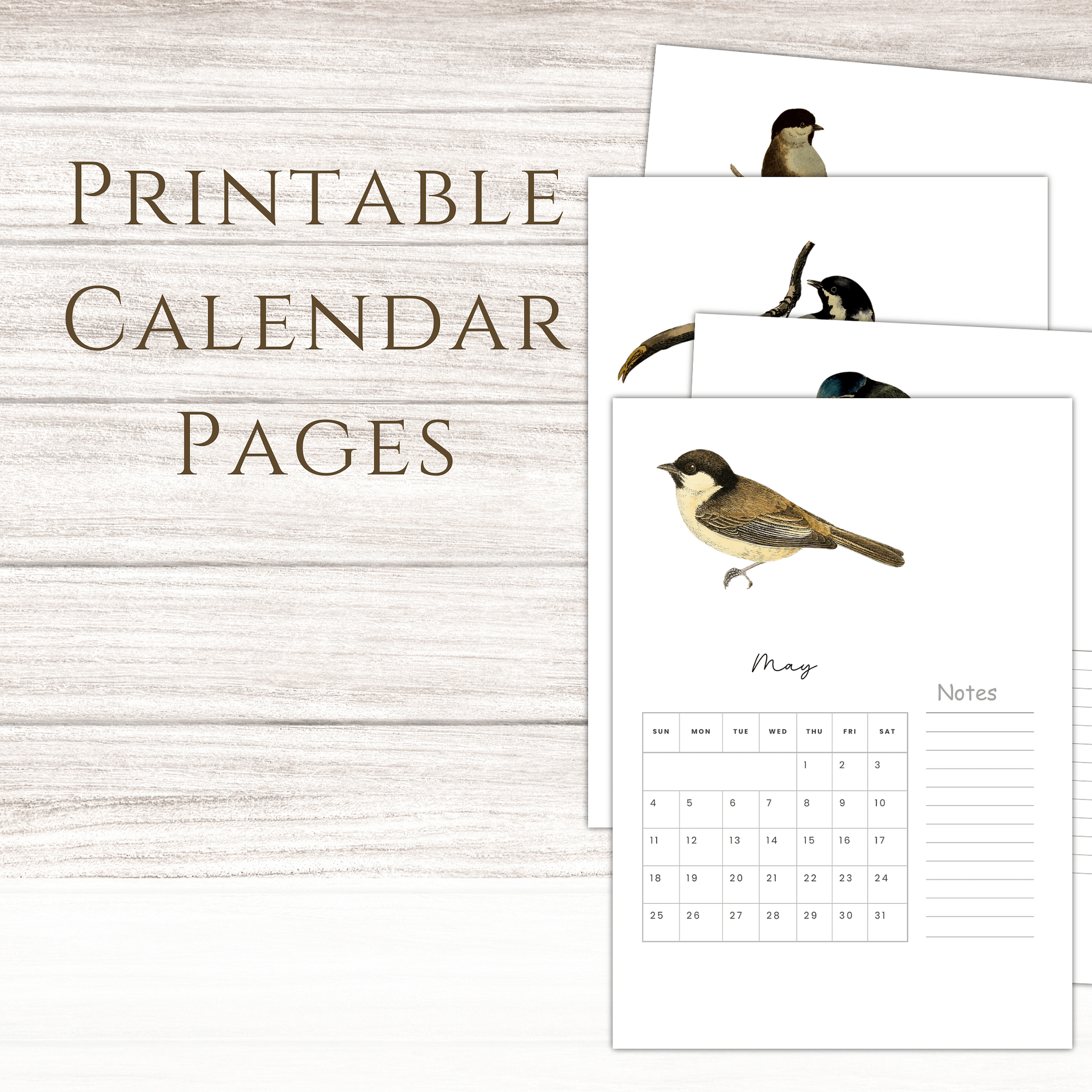 2025-2026 PDF Calendar: American Birds product image (1)