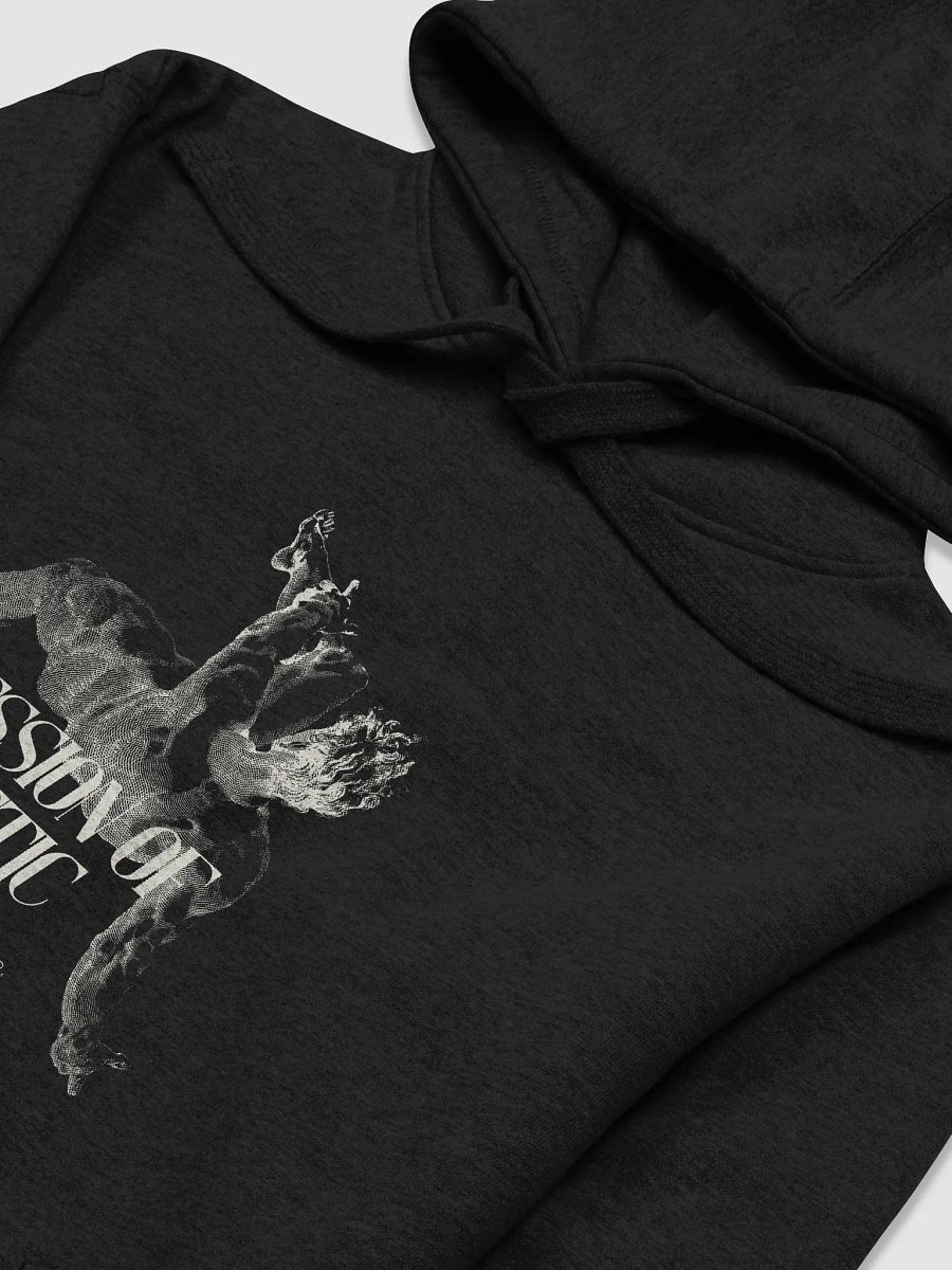 Premium Unisex Freefall Hoodie I product image (2)