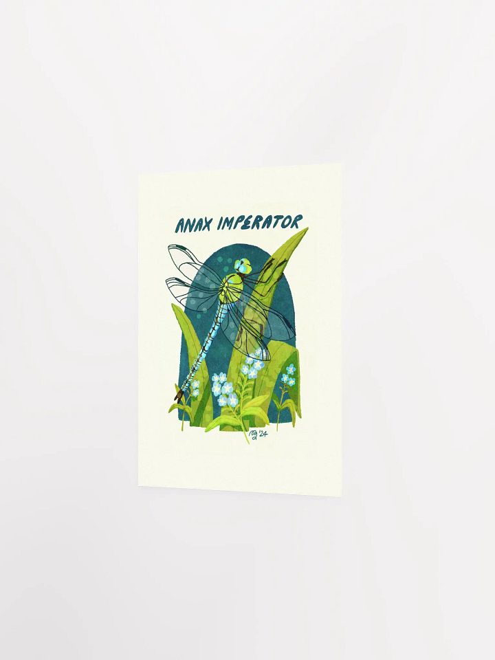 Emperor Dragonfly Print product image (3)