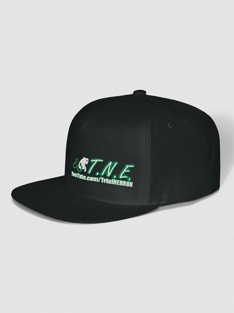 Embroidered TNE Logo Cap product image (2)