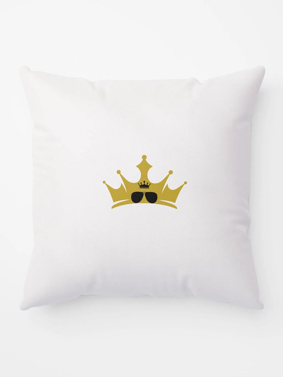 TALKING POUNDS PILLOW product image (5)