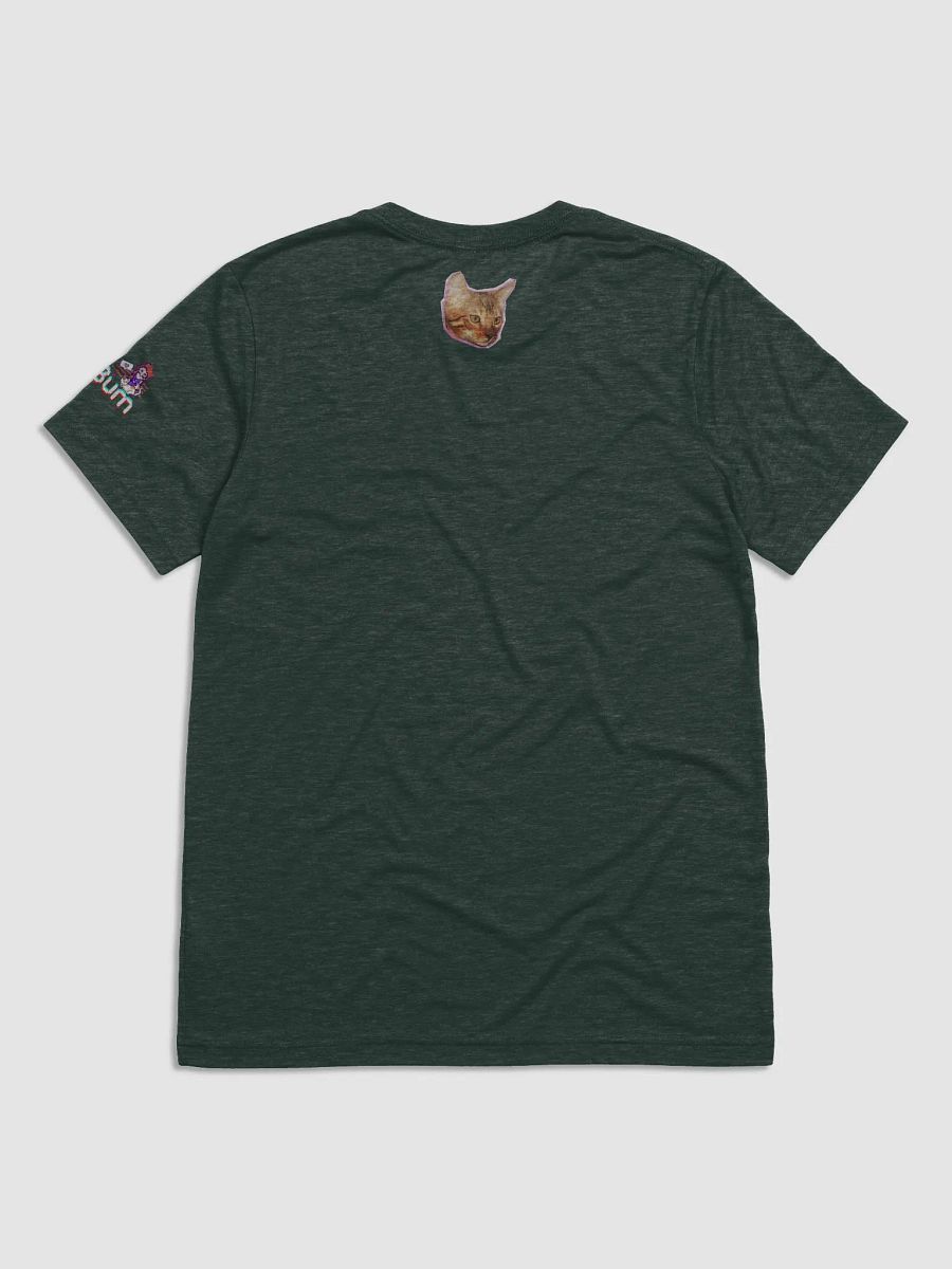 STICKERDOODLE triblend tee product image (26)